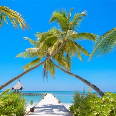 皇冠新体育APP下载