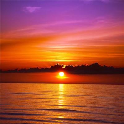 开云网kaiyun下载手机版