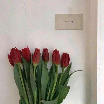 半岛·体育BDSPORTS