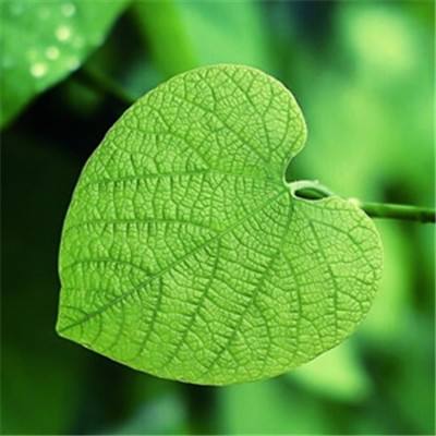 江南全站登录手机app下载